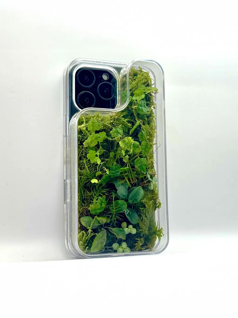 This beautiful, biophilic phone case is on a mission to reduce your screen time