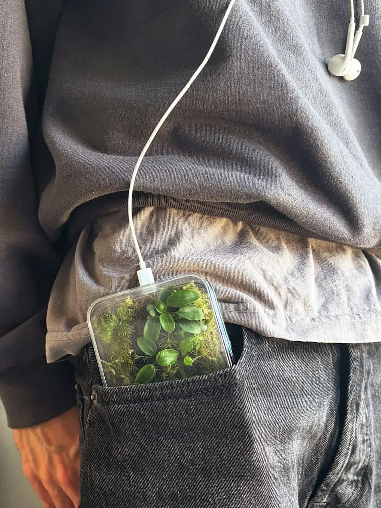 This beautiful, biophilic phone case is on a mission to reduce your screen time