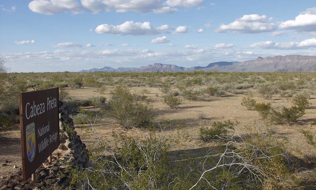 1,000-year-old archaeological site bulldozed during construction of Mexico-US border wall