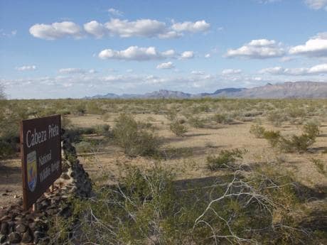 1,000-year-old archaeological site bulldozed during construction of Mexico-US border wall
