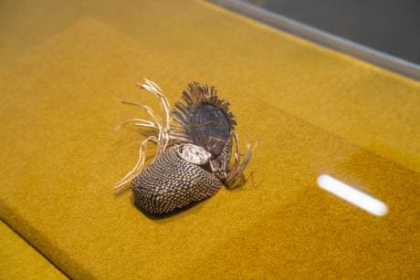 New fund helps museums make purchases at Frieze New York
