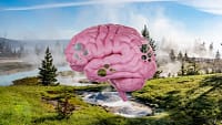 A Study Just Found Brain Eating Amoeba In 2 Popular U.S. National Parks. Here’s What You Need To Know