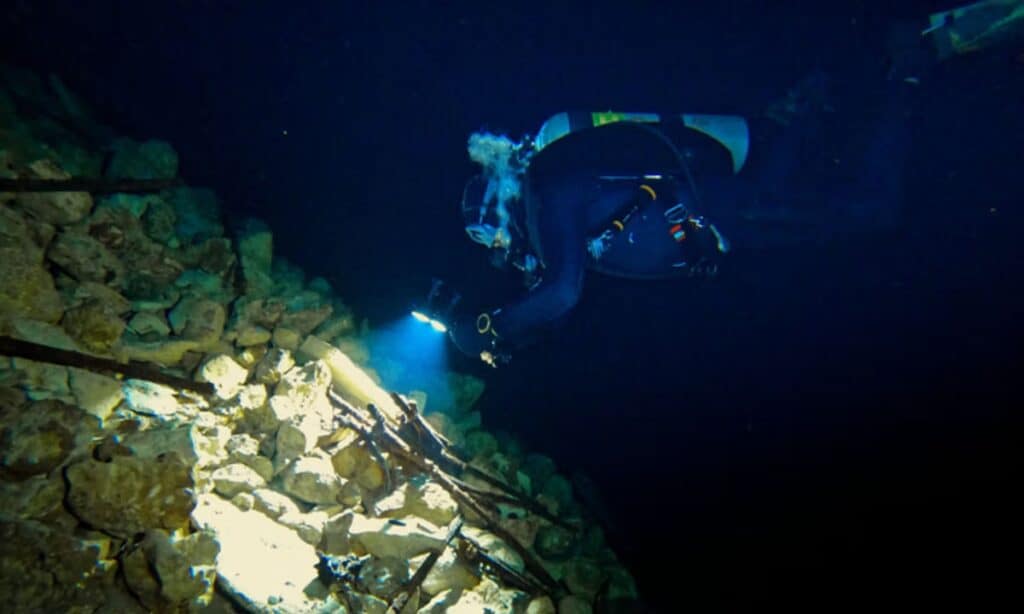19th-century European weapons found in cenote in Mexico