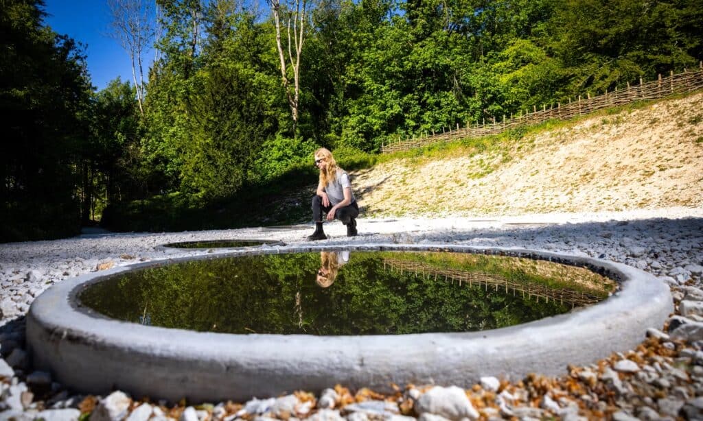 Cosmic, concrete, earthy: Nancy Holt’s Land Art on show in UK
